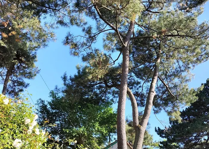 Maison A 50 M De La Sous Les Pins Feriehus Saint-Brevin-les-Pins