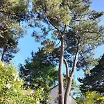 Maison A 50 M De La Sous Les Pins Nyaraló Saint-Brévin-les-Pins