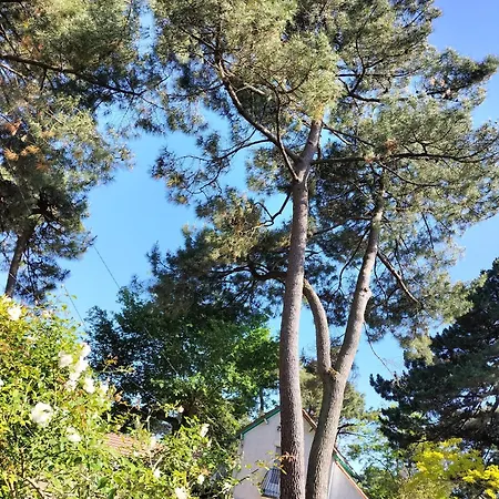 Maison A 50 M De La Sous Les Pins بيت للعطل سانت-بريفين-لي-بان