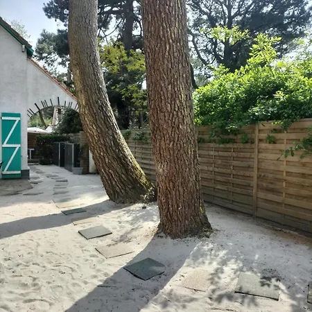 Maison A 50 M De La Sous Les Pins Semesterbostad *